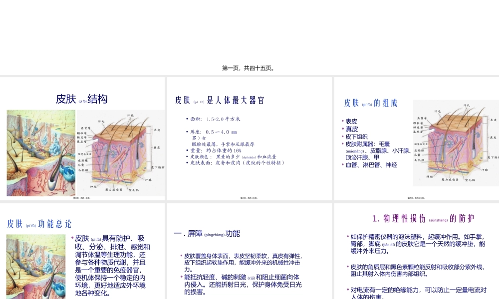 2022年医学专题—皮肤美容基础理论(1).pptx