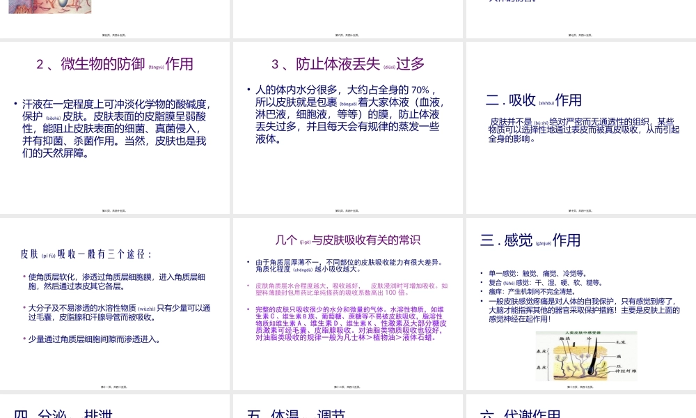 2022年医学专题—皮肤美容基础理论(1).pptx