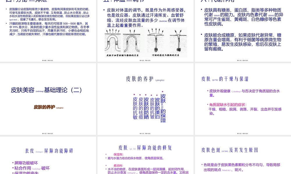 2022年医学专题—皮肤美容基础理论(1).pptx