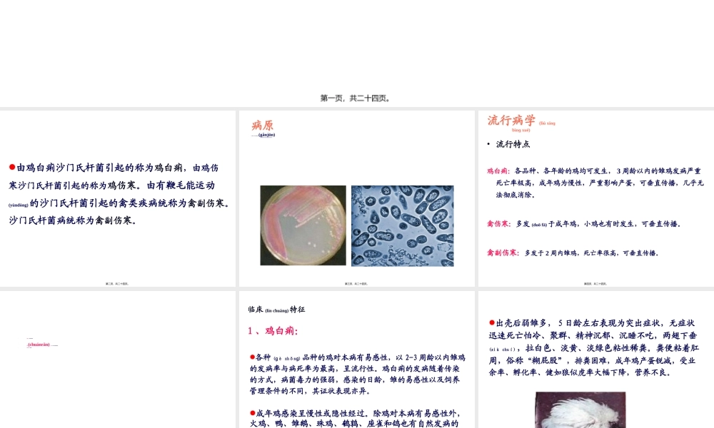 2022年医学专题—禽病学-沙门氏菌病病(1).ppt