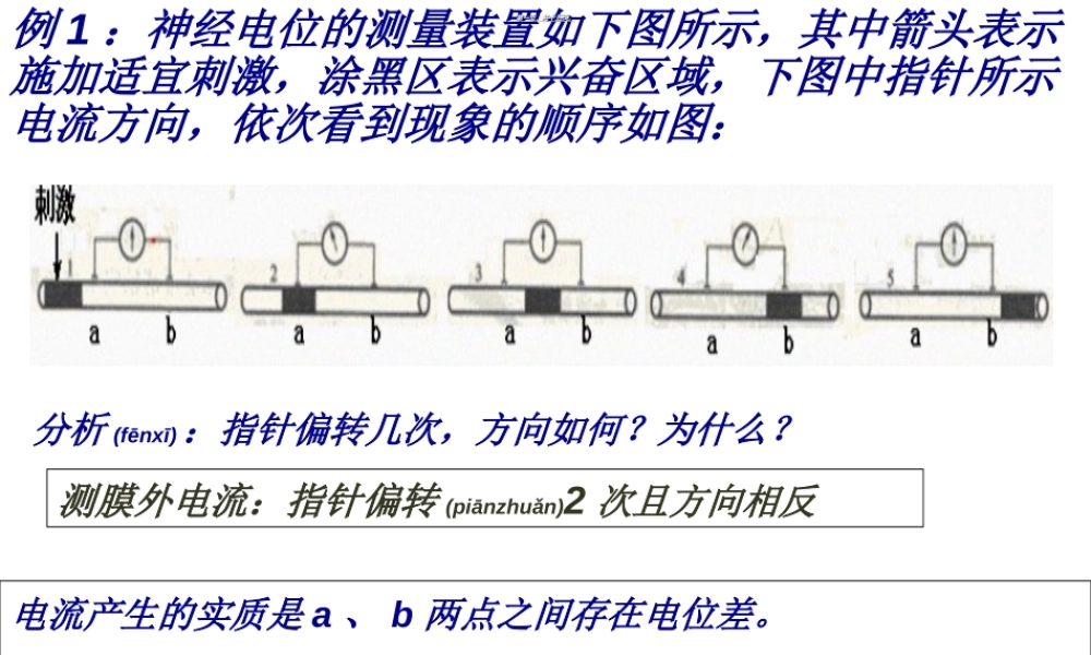 2022年医学专题—神经调节膜电位变化及其测量考题例析(1).ppt