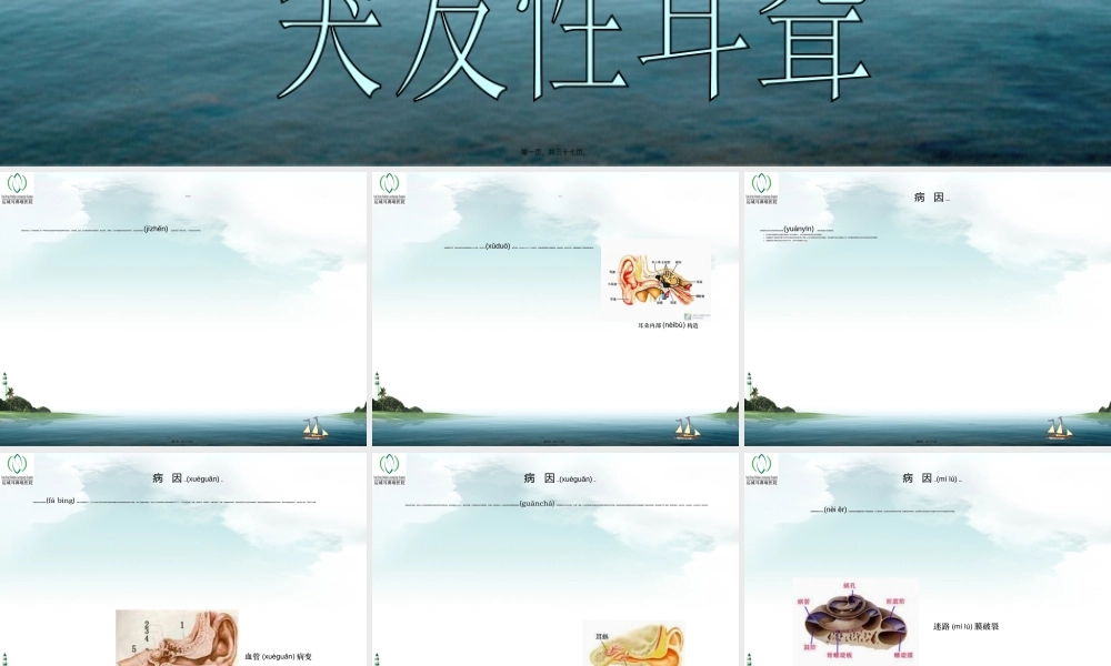 2022年医学专题—突发性耳聋PPT1资料(1).ppt