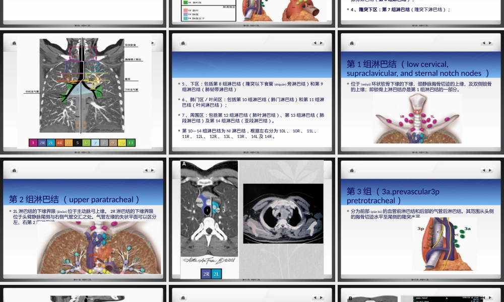 2022年医学专题—纵膈淋巴结节ppt(1).pptx