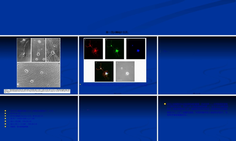 2022年医学专题—细胞形态学检查(1).ppt