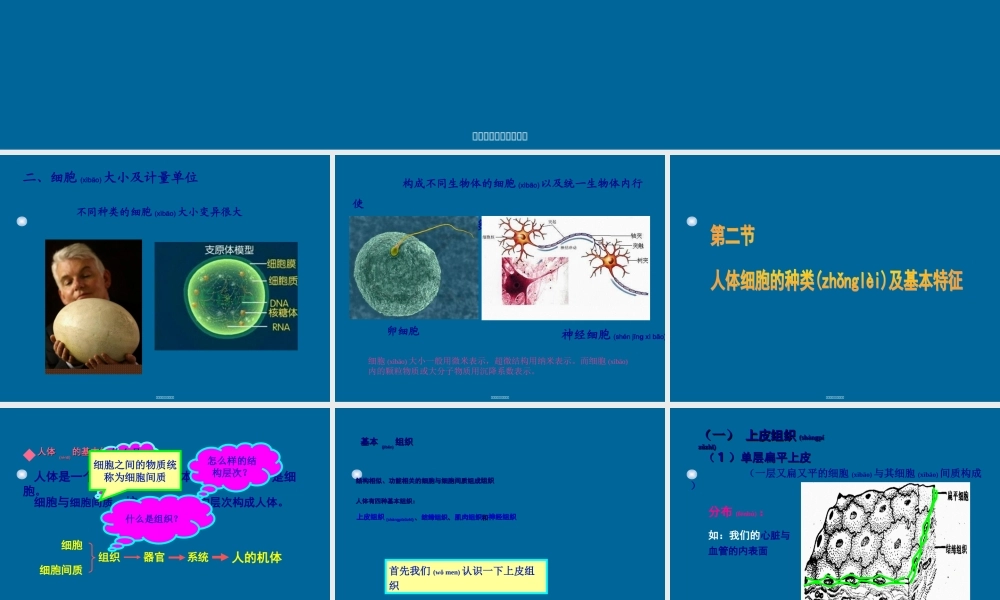 2022年医学专题—细胞的基本形态及类型(1).ppt