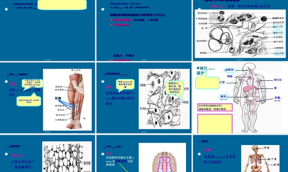 2022年医学专题—细胞的基本形态及类型(1).ppt