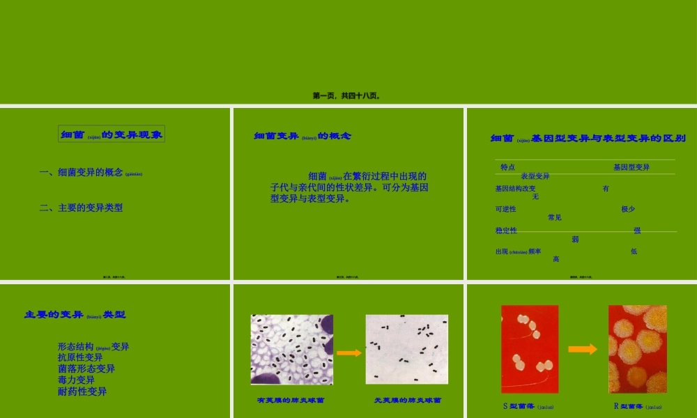 2022年医学专题—细菌遗传与变异(1).ppt