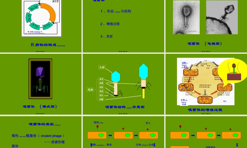 2022年医学专题—细菌遗传与变异(1).ppt