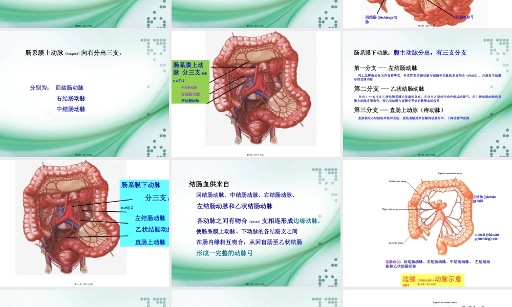 2022年医学专题—缺血性肠病所致的消化道出血(1).ppt