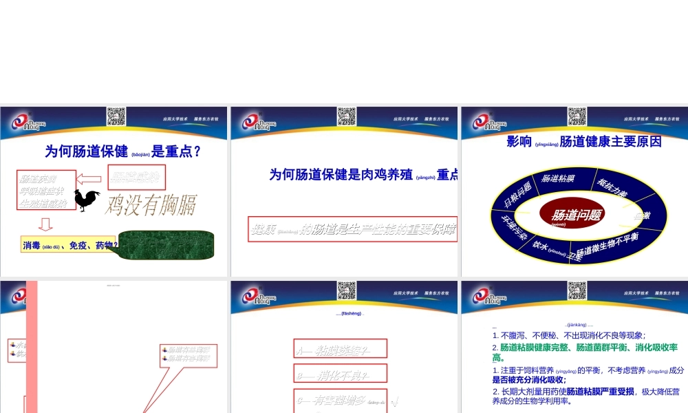 2022年医学专题—肉鸡养殖关键是肠道健康(1).ppt