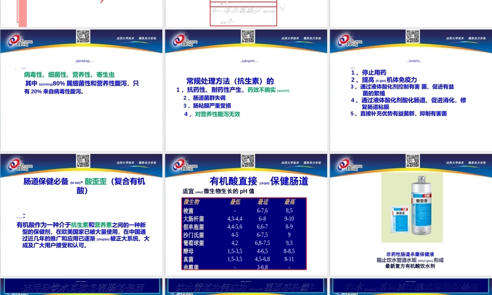 2022年医学专题—肉鸡养殖关键是肠道健康(1).ppt
