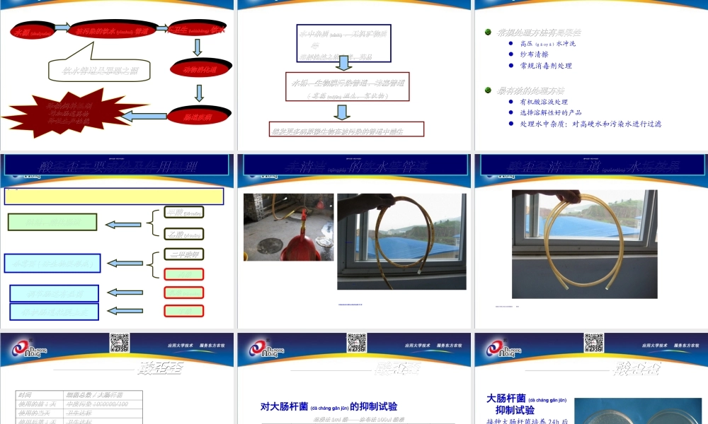 2022年医学专题—肉鸡养殖关键是肠道健康(1).ppt