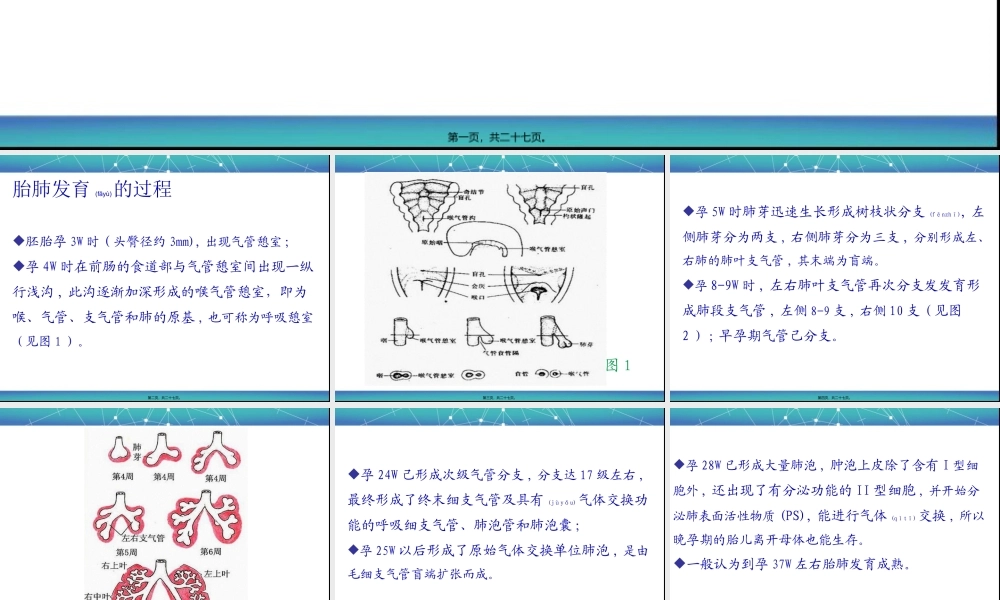 2022年医学专题—胎儿肺部发育特点(1).ppt
