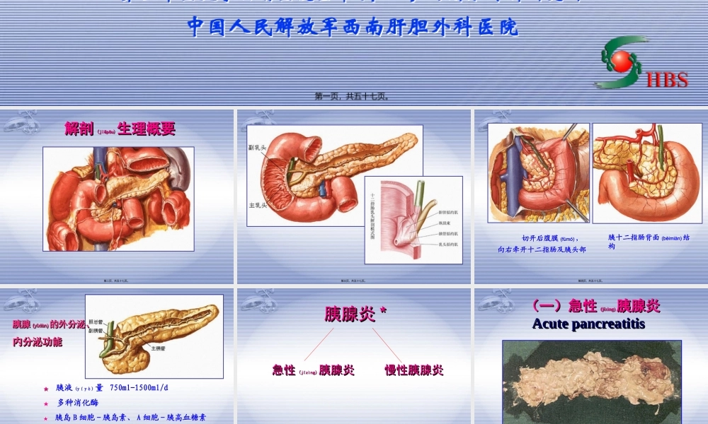 2022年医学专题—胰-腺-疾-病---第三军医大学西南医院全军肝胆外科研究所(1).ppt