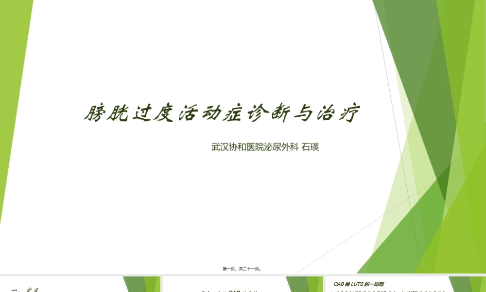 OAB诊疗常规(1).ppt