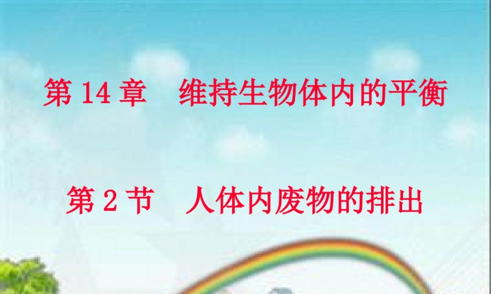 人体内废物的排出(1).pptx