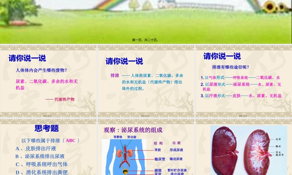 人体内废物的排出(1).pptx