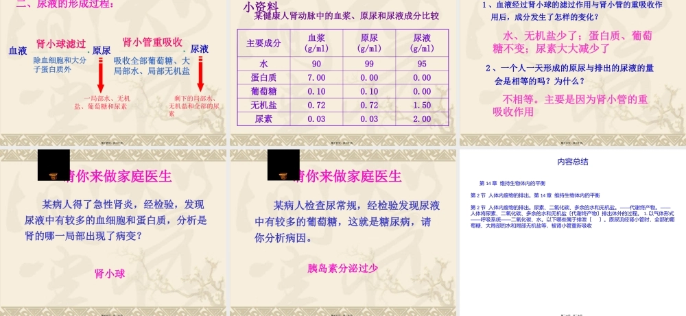 人体内废物的排出(1).pptx