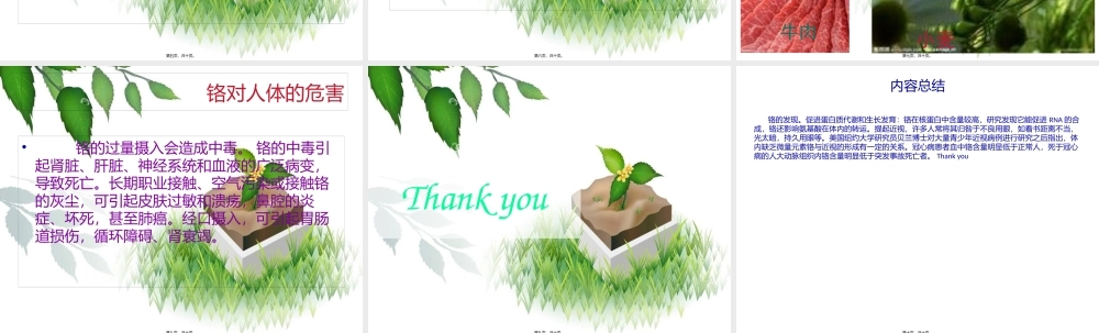 人体微量元素铬(1).pptx