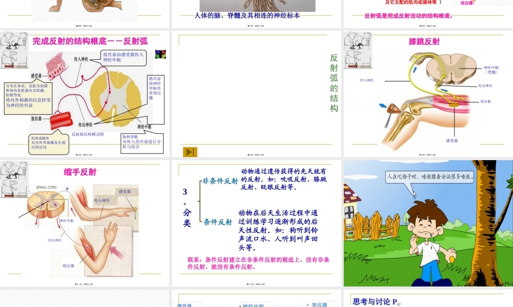 人体生命活动的神经调PPT(1).pptx