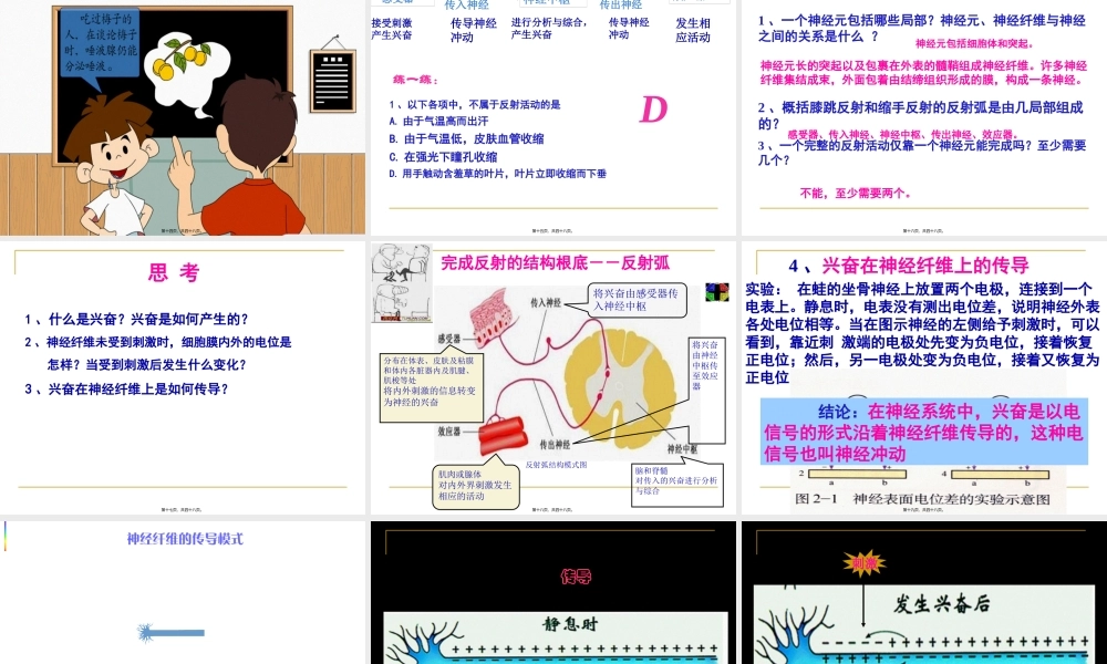 人体生命活动的神经调PPT(1).pptx