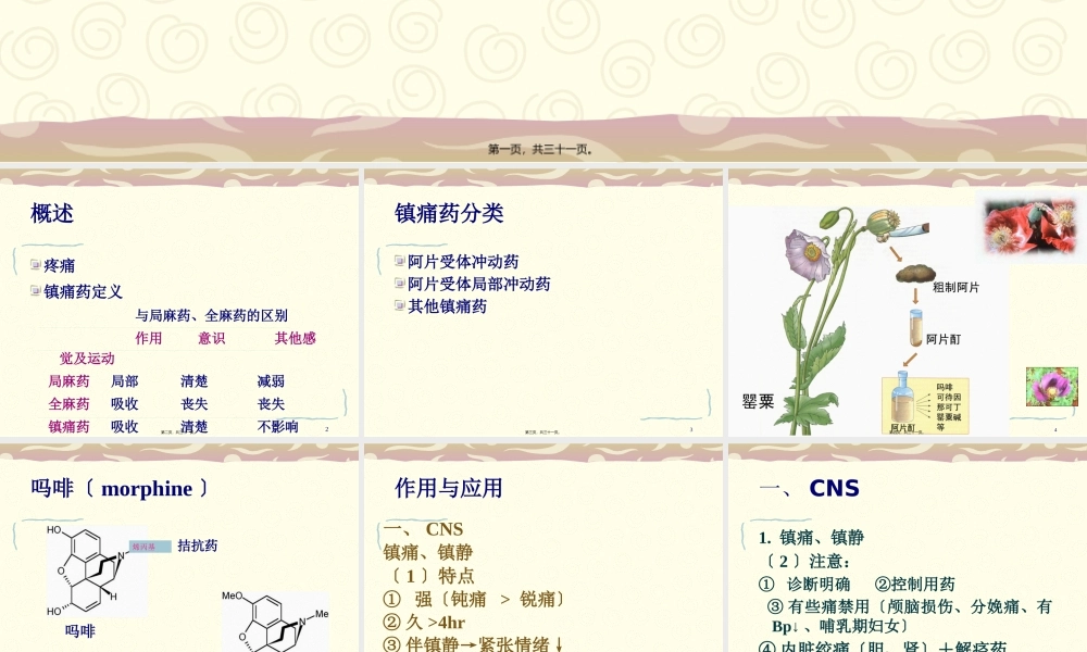 人工合成镇痛药(1).pptx