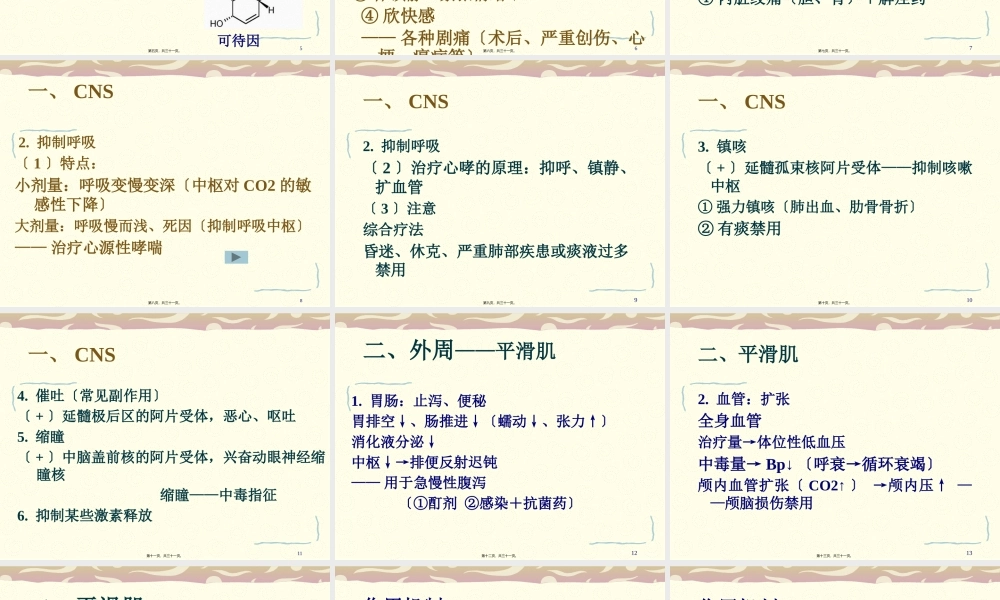 人工合成镇痛药(1).pptx