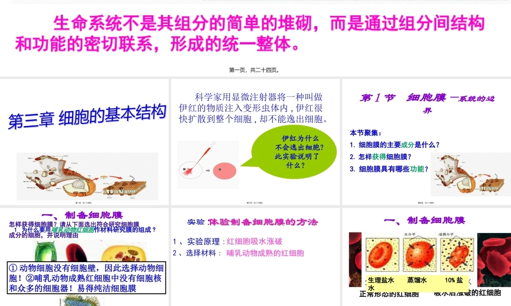 伊红为什么不会逸出细胞(1).pptx