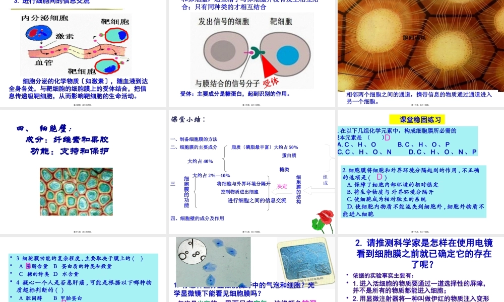 伊红为什么不会逸出细胞(1).pptx