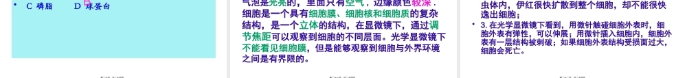 伊红为什么不会逸出细胞(1).pptx