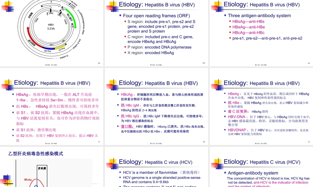 传染病Viral-hepatitis(1).pptx