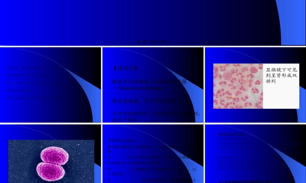 传染病学流脑(1)(1).pptx