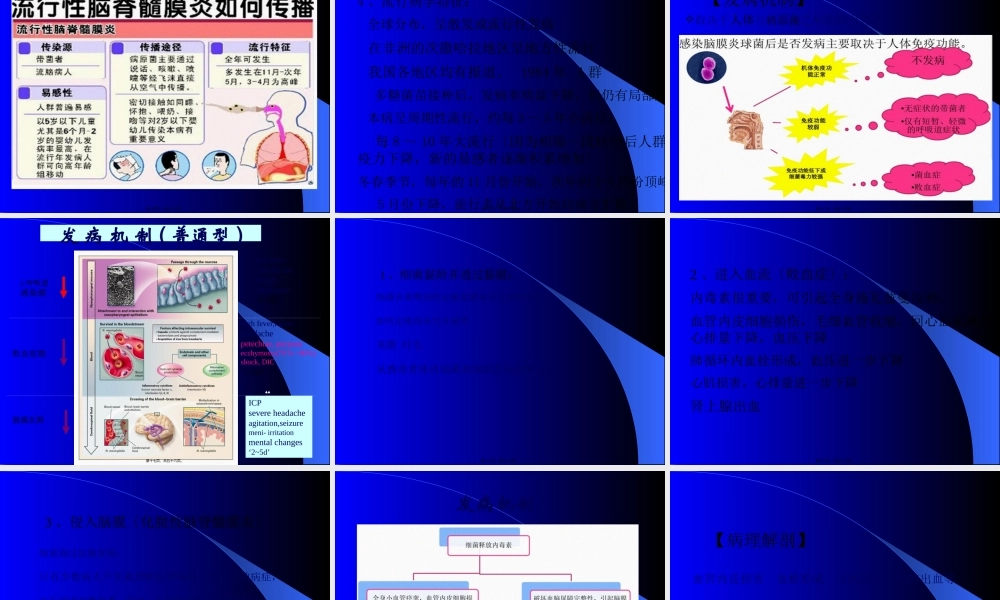 传染病学流脑(1)(1).pptx