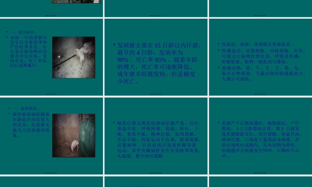 伪狂犬病(1).pptx