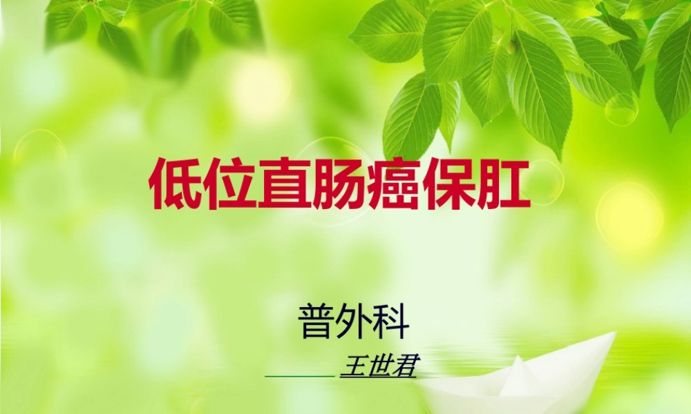 低位直肠癌保肛(1).ppt