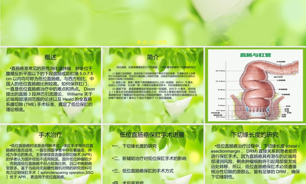 低位直肠癌保肛(1).ppt