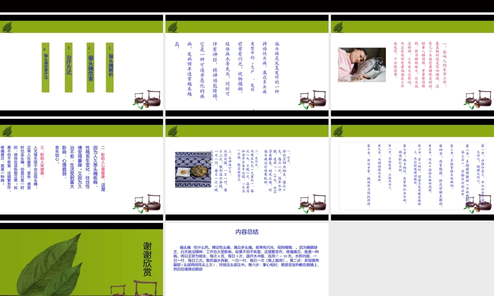 偏头痛吃什么药指导(1).pptx