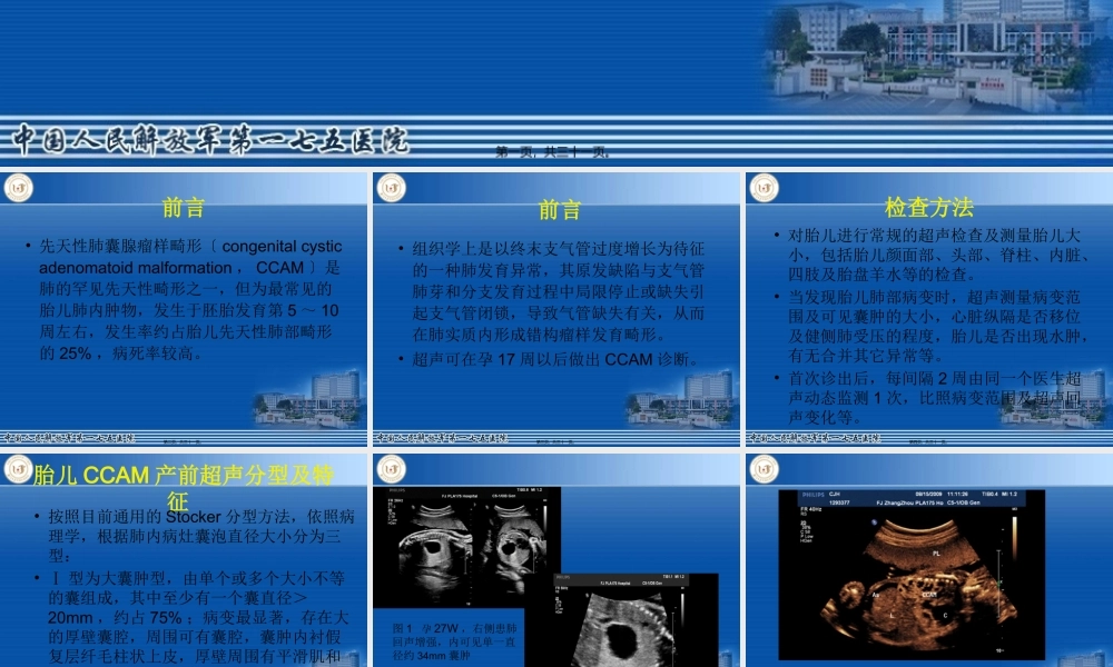 先天性胎儿肺囊腺瘤模板(1).pptx