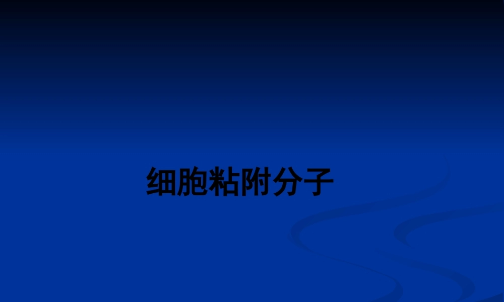 免疫学12-细胞粘附分子(1).pptx
