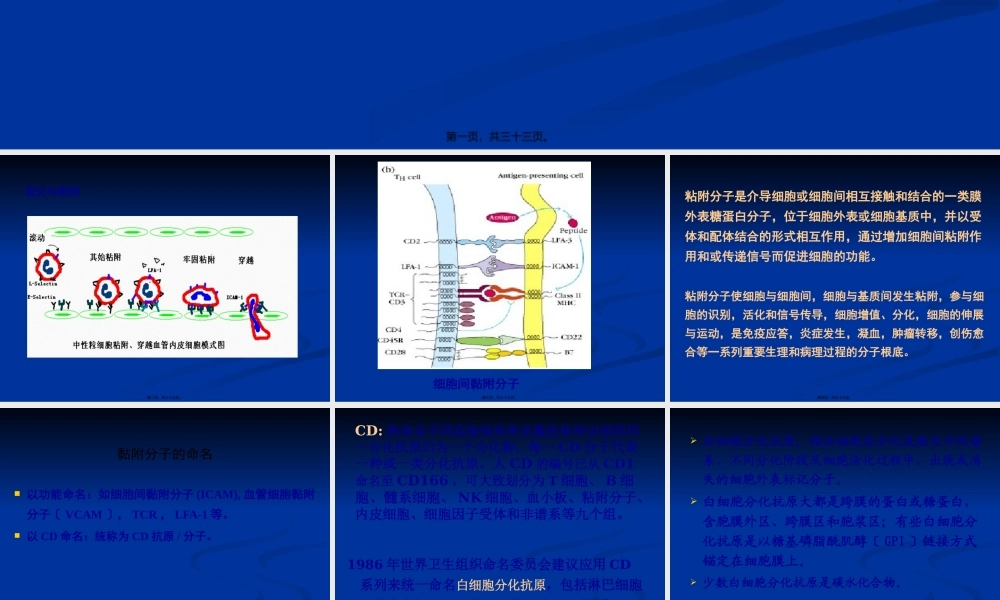 免疫学12-细胞粘附分子(1).pptx