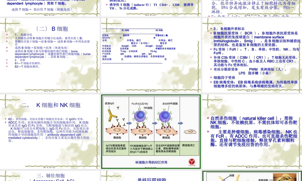 免疫细胞(1).pptx
