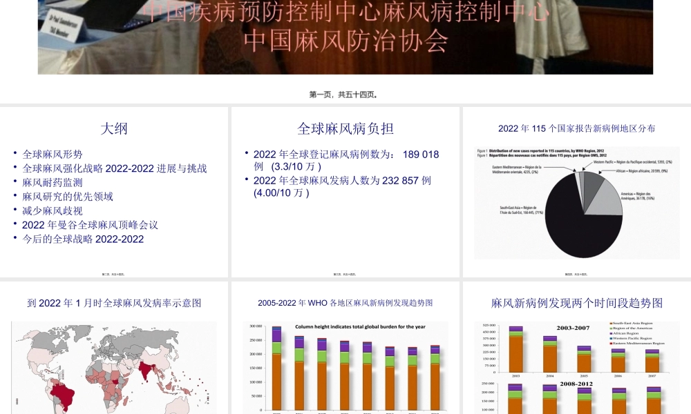 全球麻风病流行形势及今后对策(1).pptx