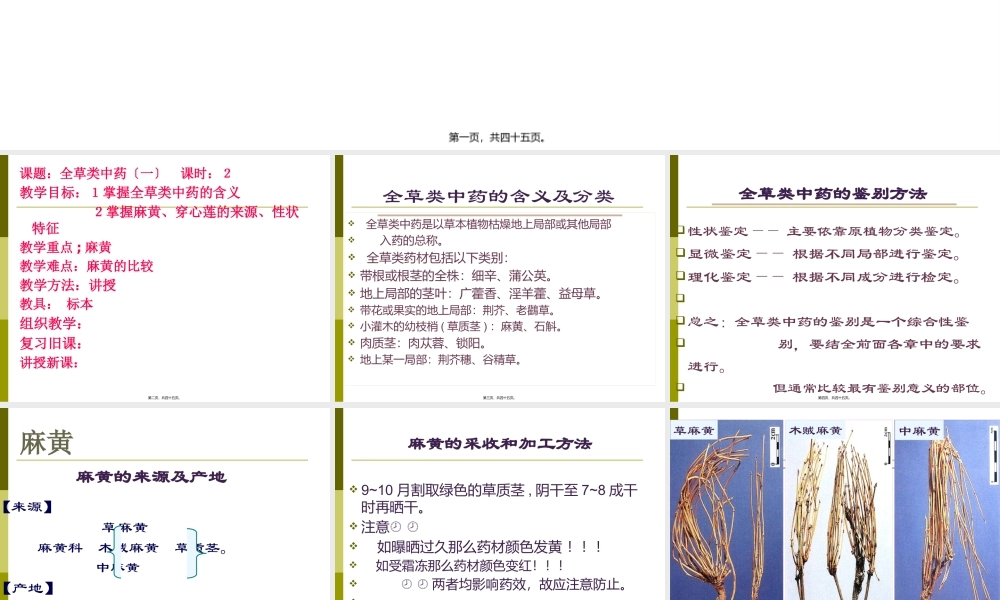 全草类药材(1).pptx