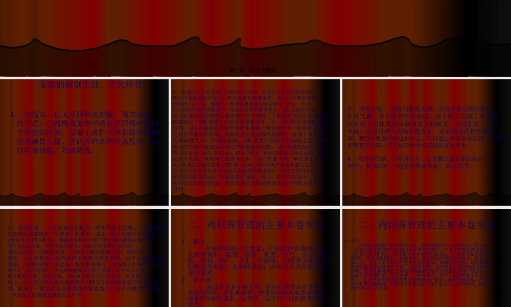 养鸡与鸡病防治演讲稿[1].ppt.lnk(1).pptx