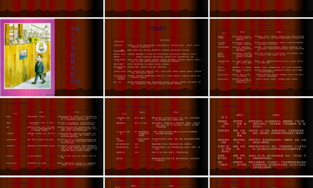 养鸡与鸡病防治演讲稿[1].ppt.lnk(1).pptx