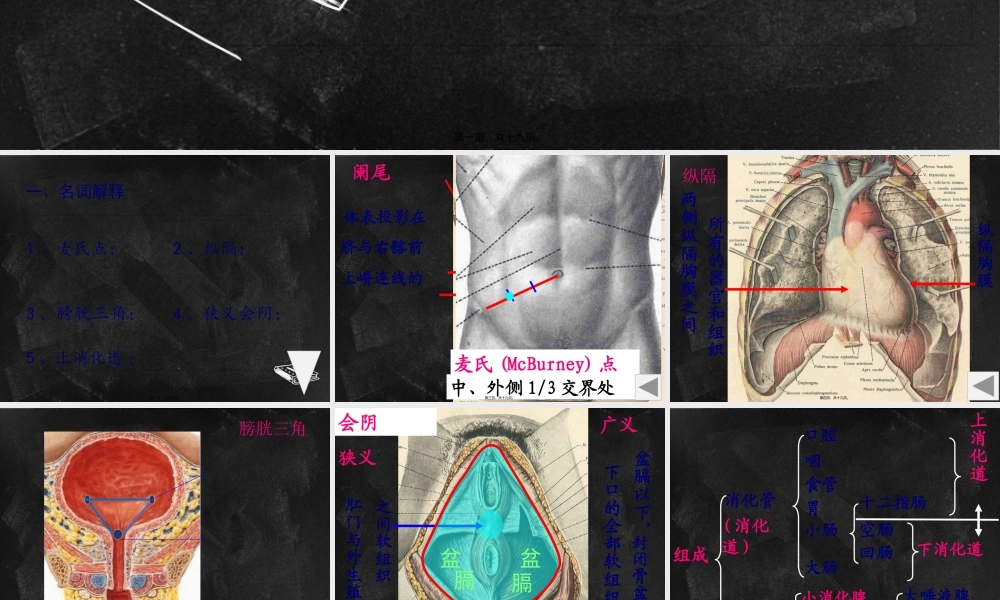 内脏测试(1).pptx