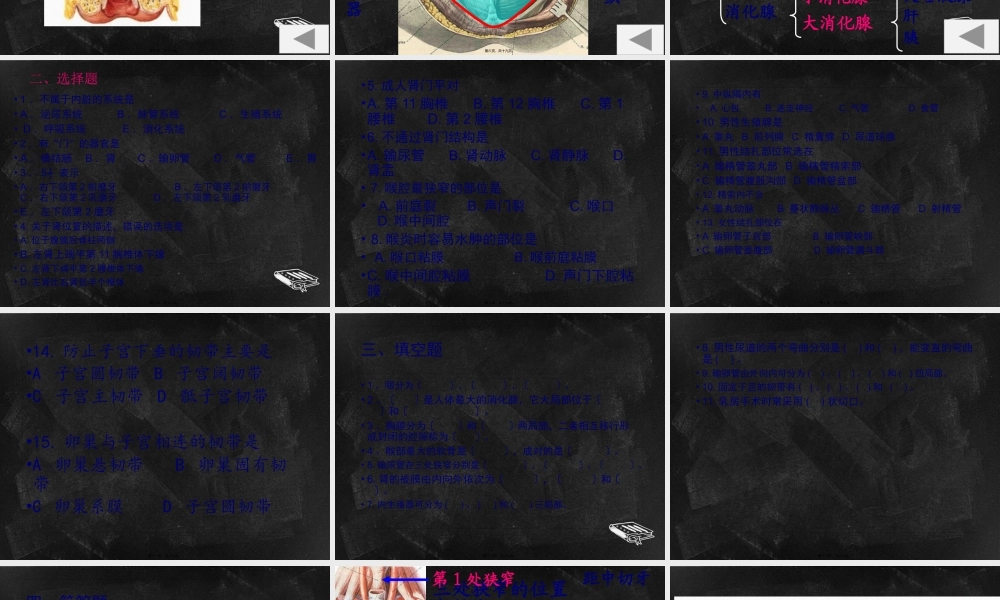 内脏测试(1).pptx