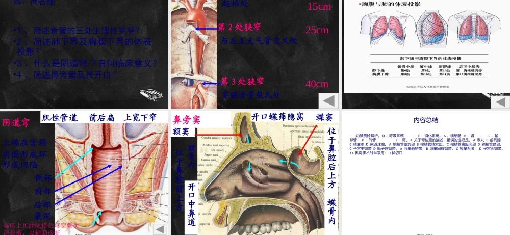 内脏测试(1).pptx