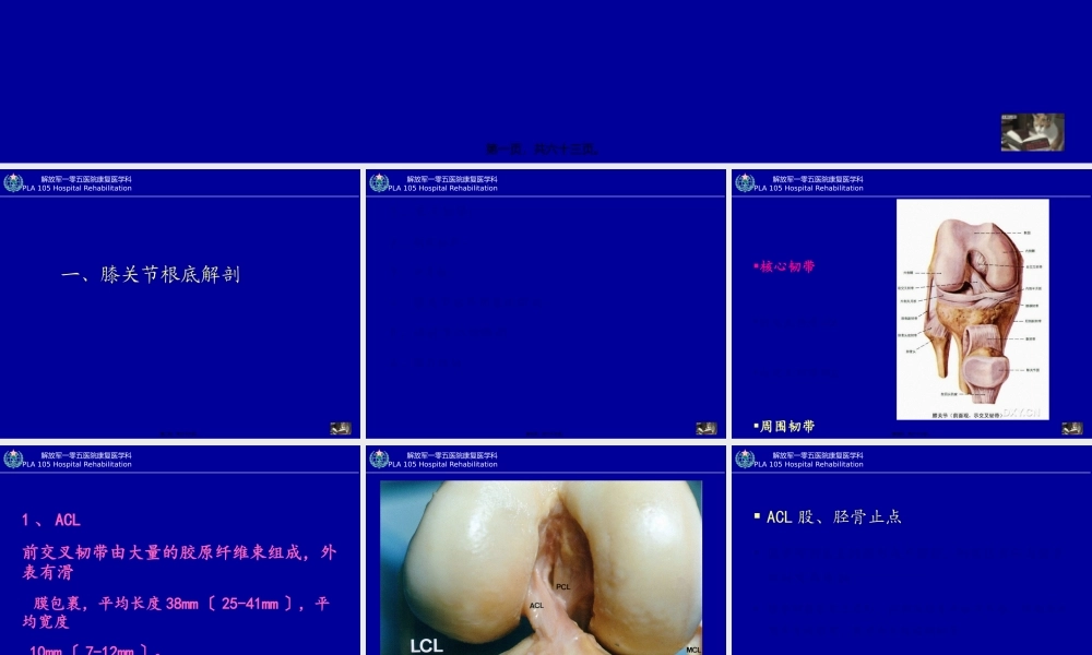 创伤性膝关节功能障碍的康复(1).pptx
