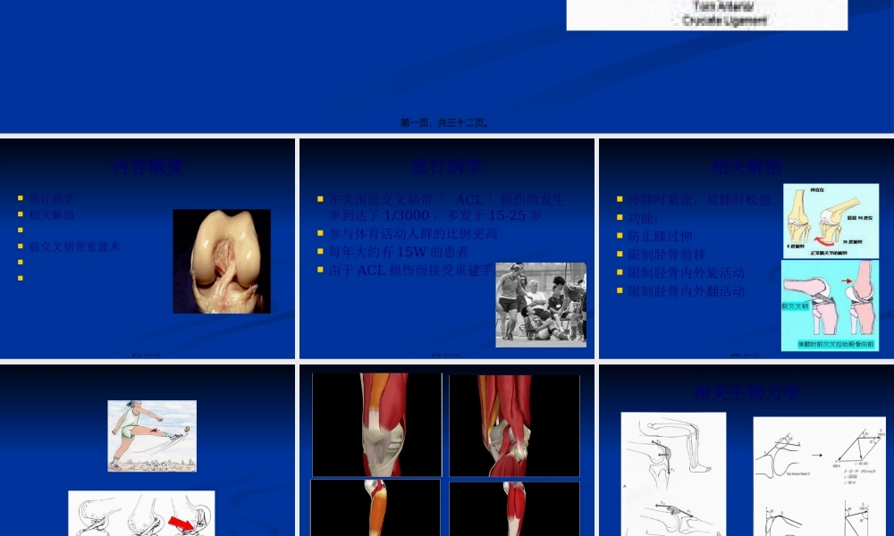 前交叉韧带重建术(1).pptx